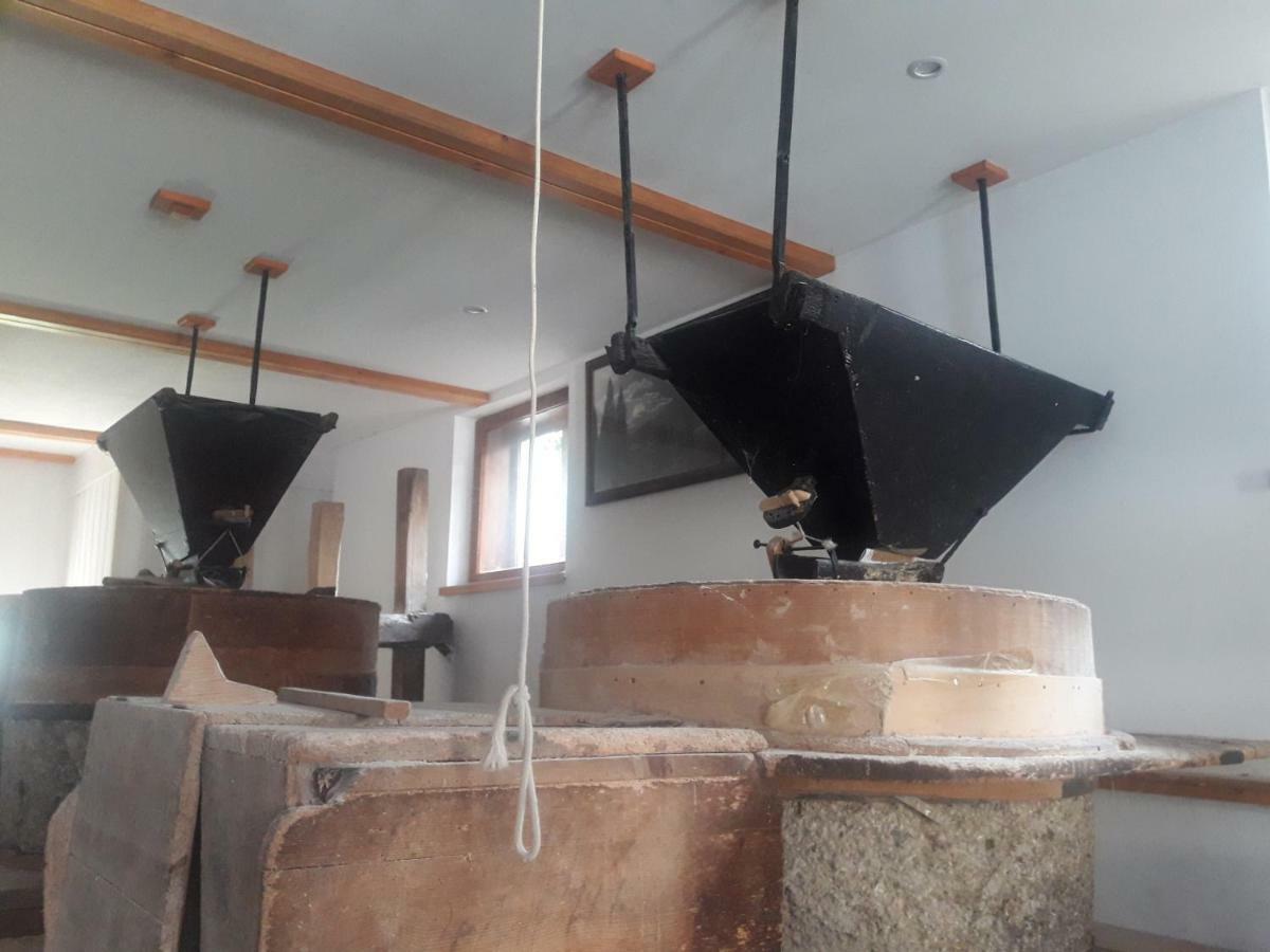 Old Mill House Daire Bohinj Dış mekan fotoğraf